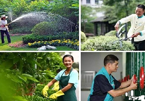 91视频网站免费看物業管理